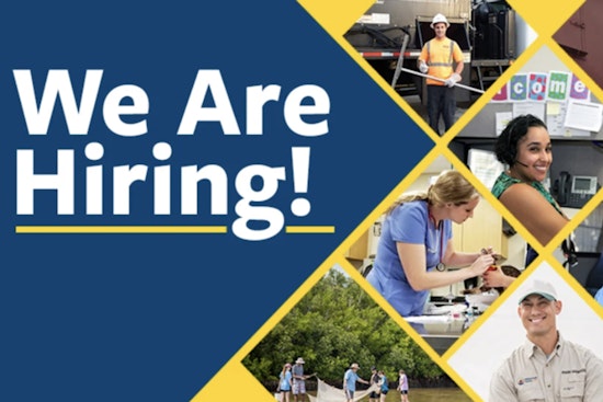 Tampa-Hillsborough County Public Library Seeks Program Coordinator to Manage and Enhance Fine Arts Collection