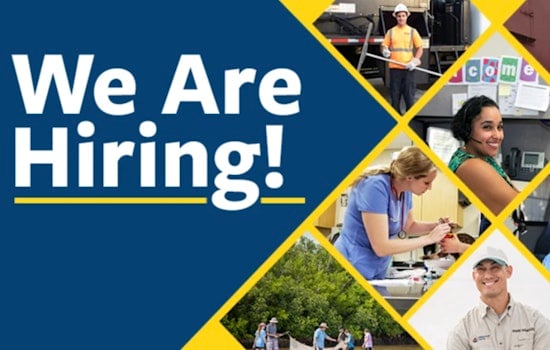 Tampa-Hillsborough County Public Library Seeks Program Coordinator to Manage and Enhance Fine Arts Collection