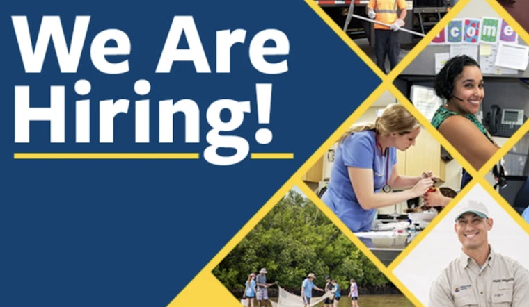 Tampa-Hillsborough County Public Library Seeks Program Coordinator to Manage and Enhance Fine Arts Collection