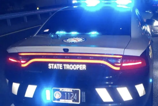 Tampa Woman Fatally Injured in I-75 Crash as Car Hits Tree in Pasco County