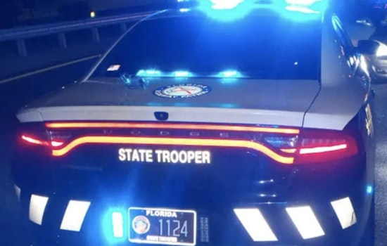 Tampa Woman Fatally Injured in I-75 Crash as Car Hits Tree in Pasco County