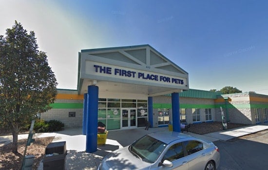 Tampa's Pet Resource Center Invites Community to Kitten Baby Shower Ahead of Kitten Season