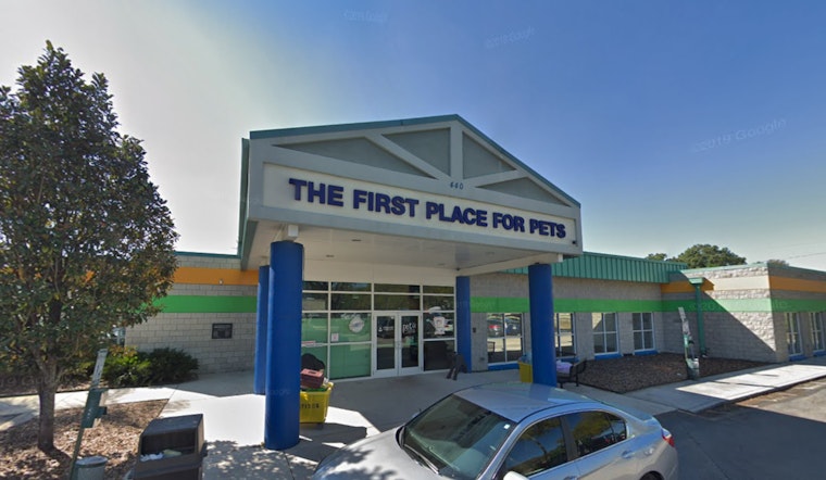 Tampa's Pet Resource Center Invites Community to Kitten Baby Shower Ahead of Kitten Season