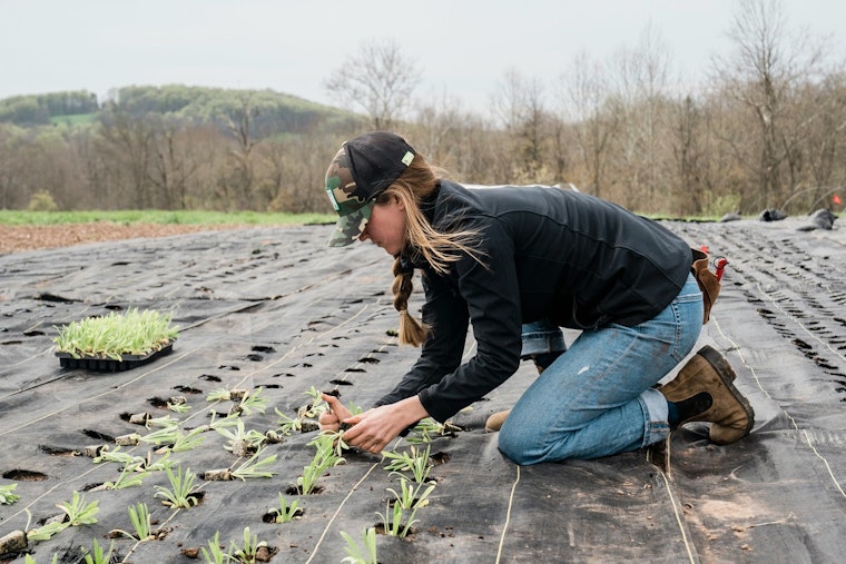 Tennessee Conference Aims to Boost Women's Role in Agriculture with Educational Empowerment