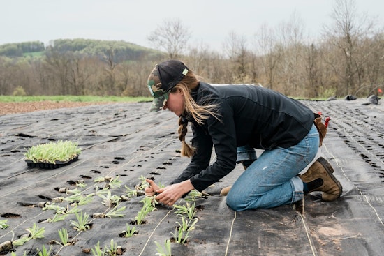 Tennessee Conference Aims to Boost Women's Role in Agriculture with Educational Empowerment