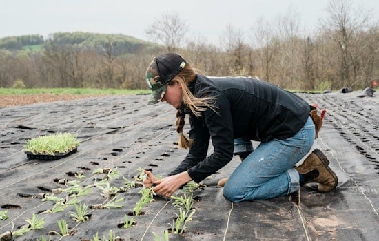 Tennessee Conference Aims to Boost Women's Role in Agriculture with Educational Empowerment