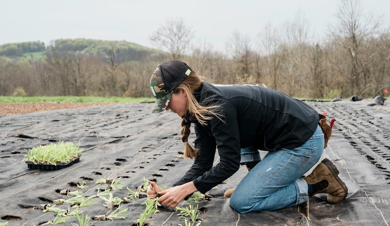 Tennessee Conference Aims to Boost Women's Role in Agriculture with Educational Empowerment