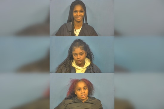 Three Chicago Women Charged With Felony for Theft at Naperville Nike Store