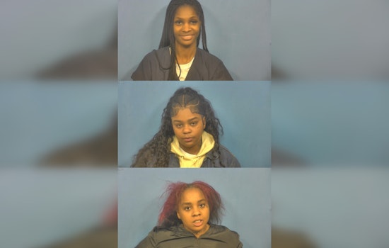 Three Chicago Women Charged With Felony for Theft at Naperville Nike Store