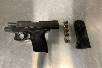 Three Juveniles Arrested in Healdsburg for Assault with a Firearm; Unregistered Gun Seized