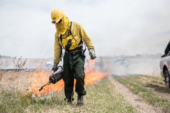 Three Rivers Park District Commences Seasonal Prescribed Burns to Enhance Local Ecosystems