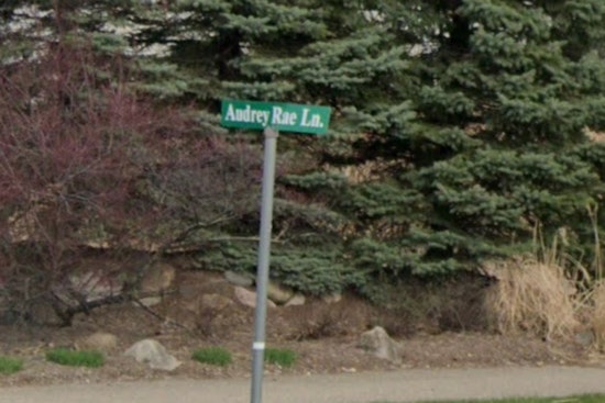 Two Suspects Nabbed in Livingston County Sting Allegedly Seeking Minor for Sexual Purposes