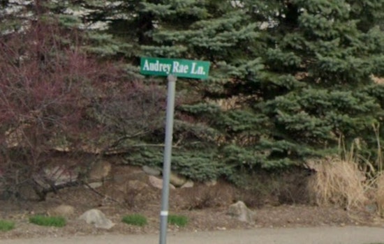 Two Suspects Nabbed in Livingston County Sting Allegedly Seeking Minor for Sexual Purposes