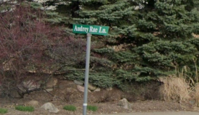 Two Suspects Nabbed in Livingston County Sting Allegedly Seeking Minor for Sexual Purposes