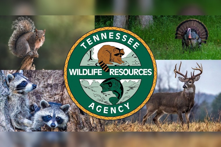 TWRA to Present 2025-26 Hunting and Trapping Season Proposals at Nashville Meeting