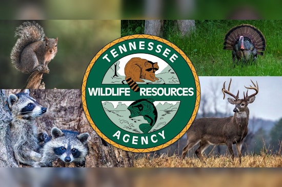TWRA to Present 2025-26 Hunting and Trapping Season Proposals at Nashville Meeting