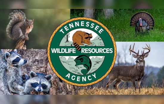 TWRA to Present 2025-26 Hunting and Trapping Season Proposals at Nashville Meeting