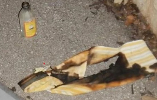 UMass Boston Student Charged with Arson After Allegedly Attacking Kansas City Tesla Dealership