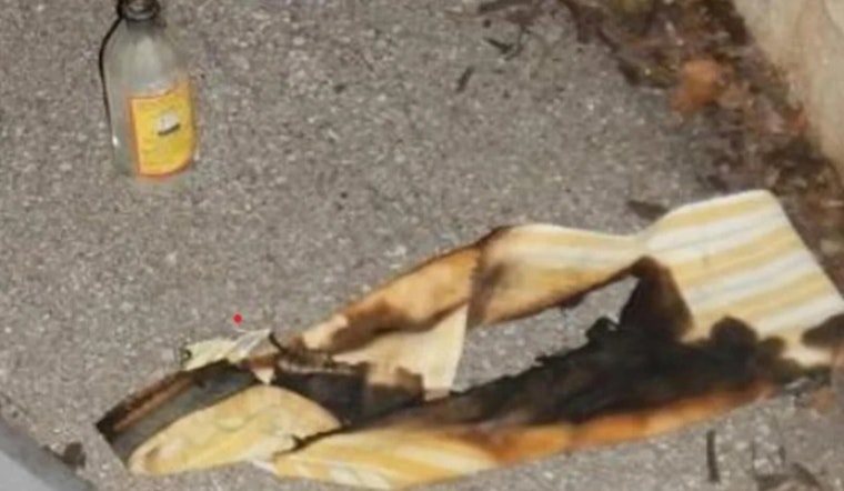 UMass Boston Student Charged with Arson After Allegedly Attacking Kansas City Tesla Dealership