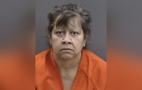 Undercover Sting in Brandon Results in Over $15,000 in Stolen Goods and Woman Charged with Felony Theft