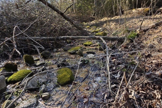 Union County Launches Waterway Cleanup Initiative in Hurricane Helene Aftermath