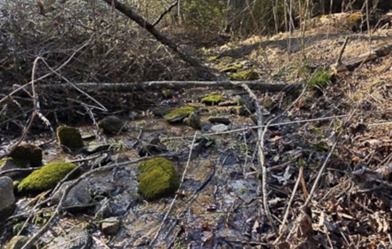 Union County Launches Waterway Cleanup Initiative in Hurricane Helene Aftermath