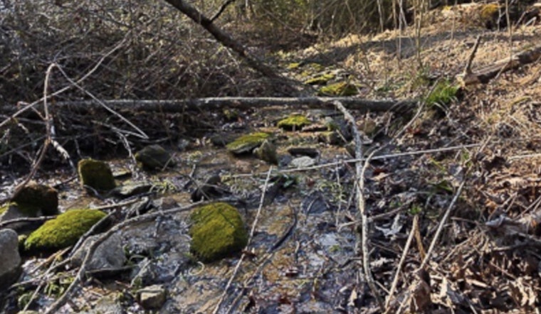 Union County Launches Waterway Cleanup Initiative in Hurricane Helene Aftermath