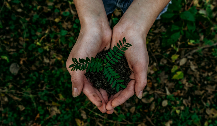 University of Cincinnati Champions Sustainability: Set for "Tree Campus USA" Honor and Unveils Urban Renewal Efforts