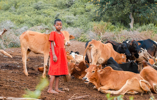 University of Cincinnati's Village Life Project Fosters Global Compassion and Leadership in Tanzanian Service Efforts