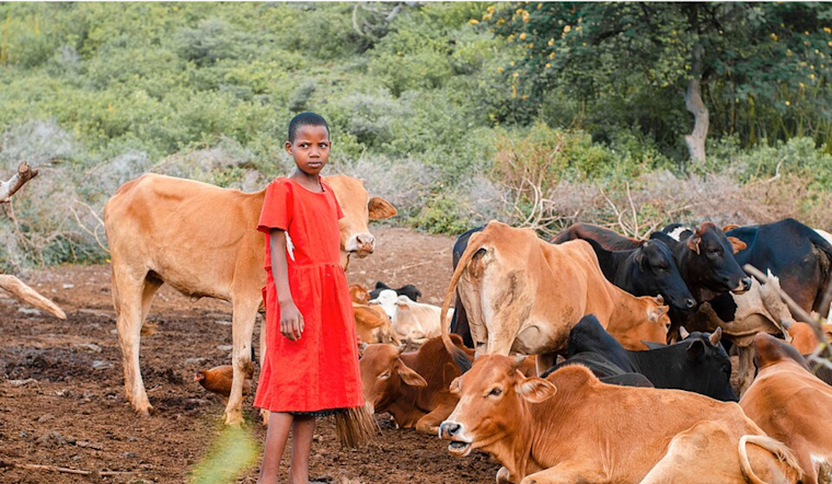 University of Cincinnati's Village Life Project Fosters Global Compassion and Leadership in Tanzanian Service Efforts