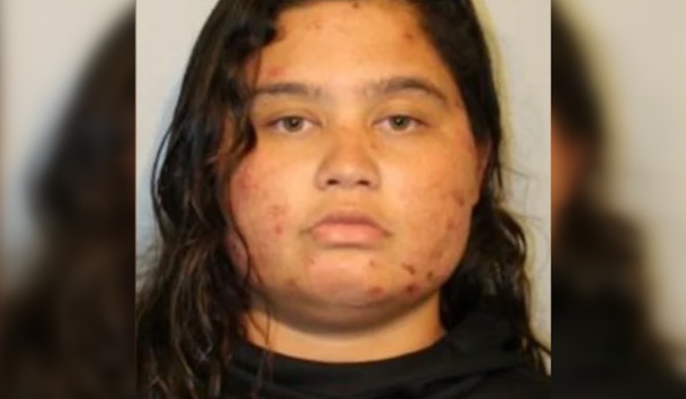 UPDATE: Missing Hilo Woman and Toddler Found Safe as Hawai'i Island Police Credit Community Efforts
