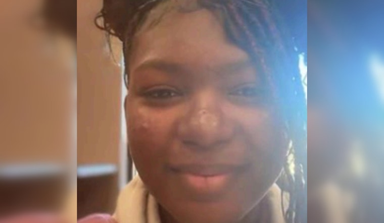 Urgent Search for Missing 14-Year-Old Serenity Omosikeji in Chicago