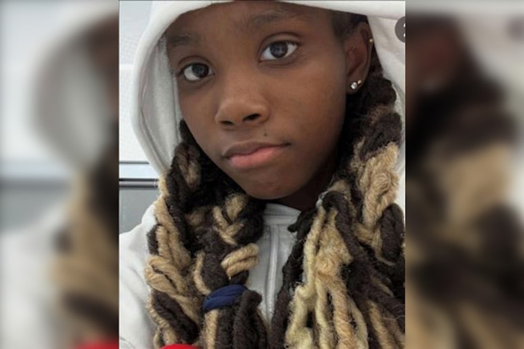 Urgent Search Underway for Missing 14-Year-Old Danaya Fenner in Chicago's South Shore Community
