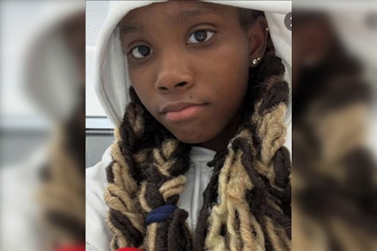 Urgent Search Underway for Missing 14-Year-Old Danaya Fenner in Chicago's South Shore Community