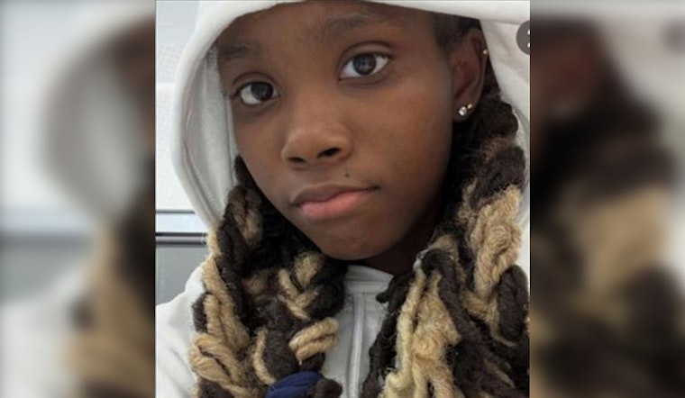 Urgent Search Underway for Missing 14-Year-Old Danaya Fenner in Chicago's South Shore Community