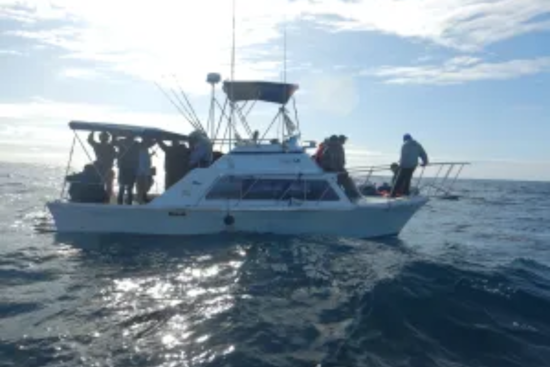 U.S. Coast Guard Rescues 18 from Distressed Vessel off San Diego Coast with AMO Assistance