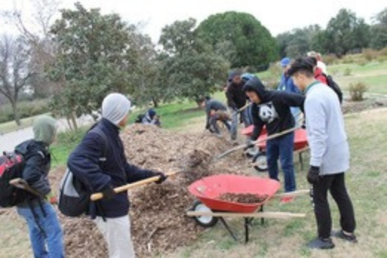 Volunteers Needed: Dallas Parks Call for Community Engagement and Environmental Stewardship in April