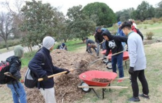Volunteers Needed: Dallas Parks Call for Community Engagement and Environmental Stewardship in April