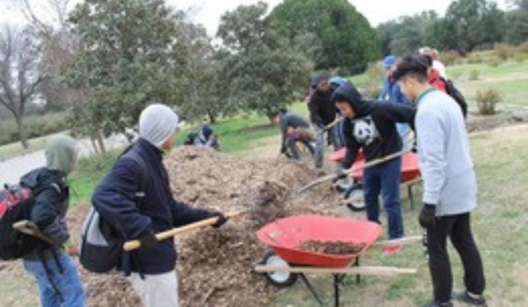 Volunteers Needed: Dallas Parks Call for Community Engagement and Environmental Stewardship in April