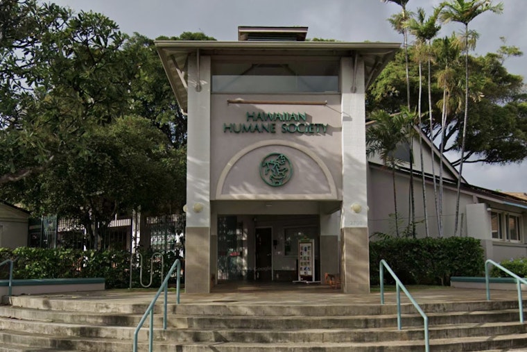 Wahiawa Woman Charged with Animal Cruelty After Dog Abuse Caught on Camera, Humane Society Backs Reform