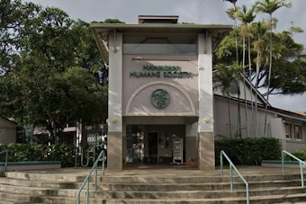 Wahiawa Woman Charged with Animal Cruelty After Dog Abuse Caught on Camera, Humane Society Backs Reform