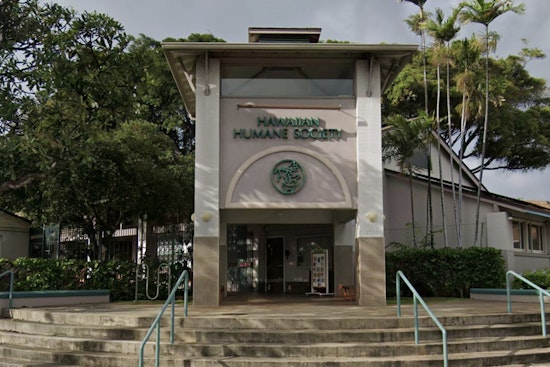 Wahiawa Woman Charged with Animal Cruelty After Dog Abuse Caught on Camera, Humane Society Backs Reform