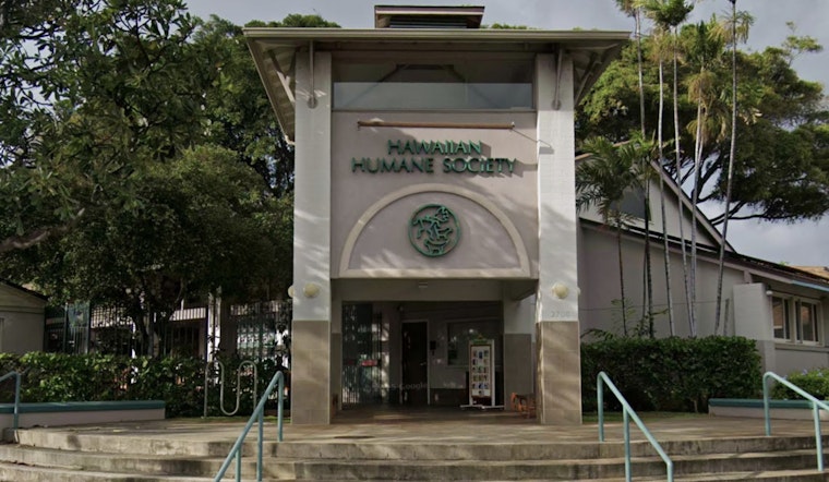 Wahiawa Woman Charged with Animal Cruelty After Dog Abuse Caught on Camera, Humane Society Backs Reform