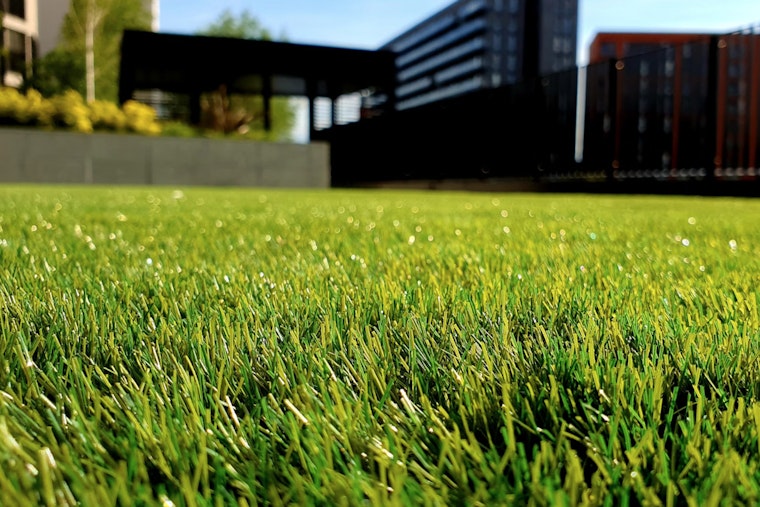 Wake Forest Officials Remind Homeowners to Keep Lawns Trimmed to Avoid Ordinance Violations