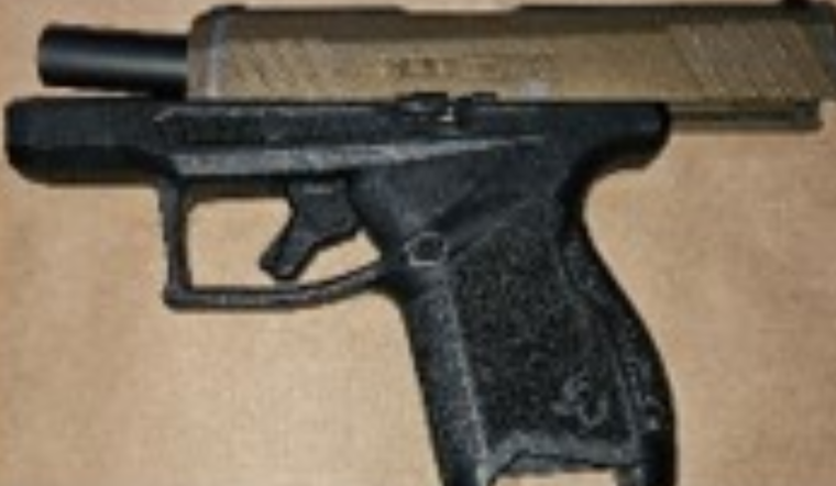 Washington D.C. Police Recover 61 Illegal Firearms in Effort to Curb Gun Violence