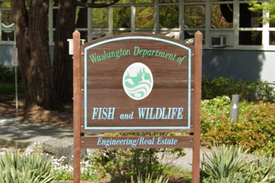 Washington Fish and Wildlife Commission Charts Conservation Course at Olympia Meeting