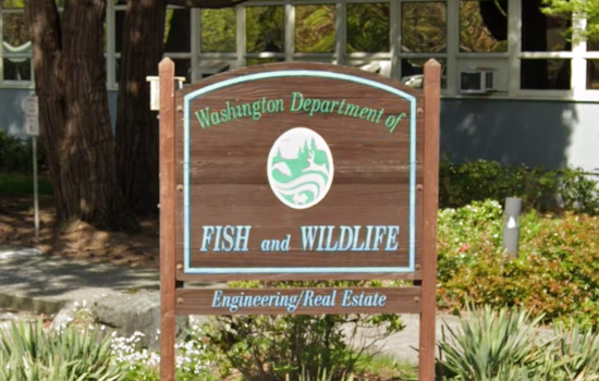 Washington Fish and Wildlife Commission Charts Conservation Course at Olympia Meeting