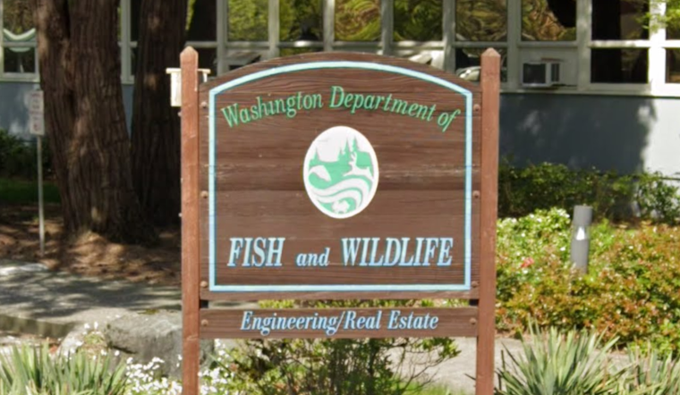 Washington Fish and Wildlife Commission Charts Conservation Course at Olympia Meeting