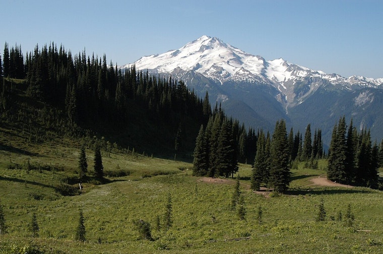 Washington's Mount Baker-Snoqualmie Forest Undergoes Vital Restoration in Pilchuck Project