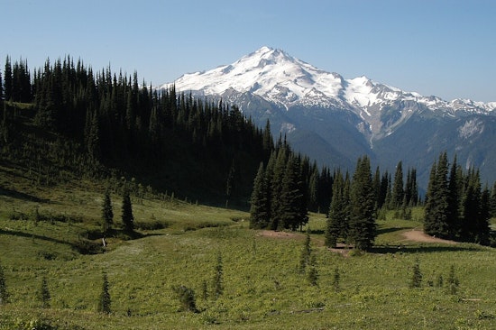 Washington's Mount Baker-Snoqualmie Forest Undergoes Vital Restoration in Pilchuck Project